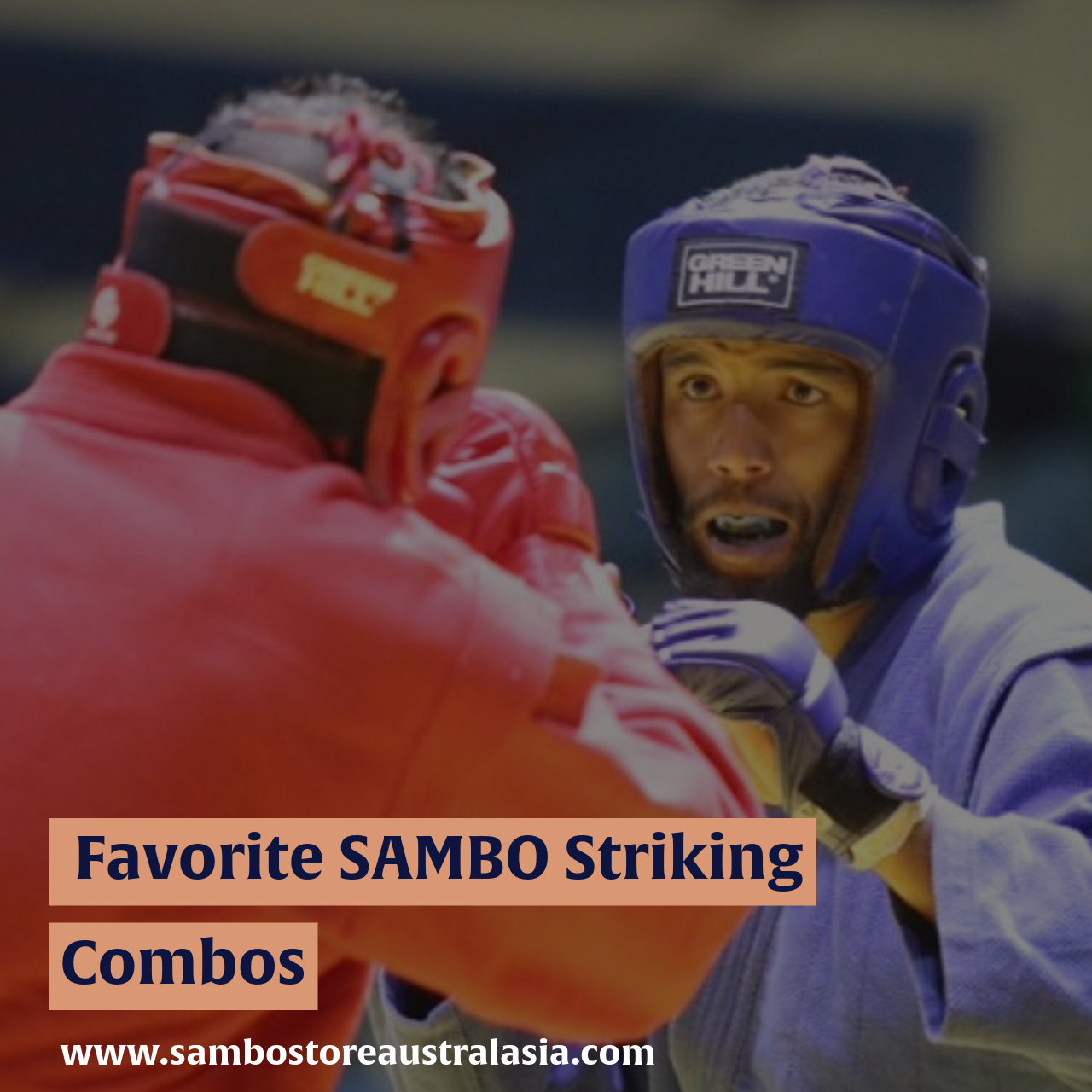 Our Favorite SAMBO Striking Combos