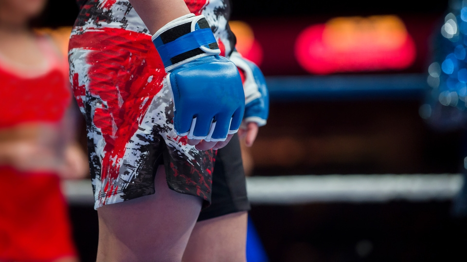 What Are Combat Sambo Fighting Gloves