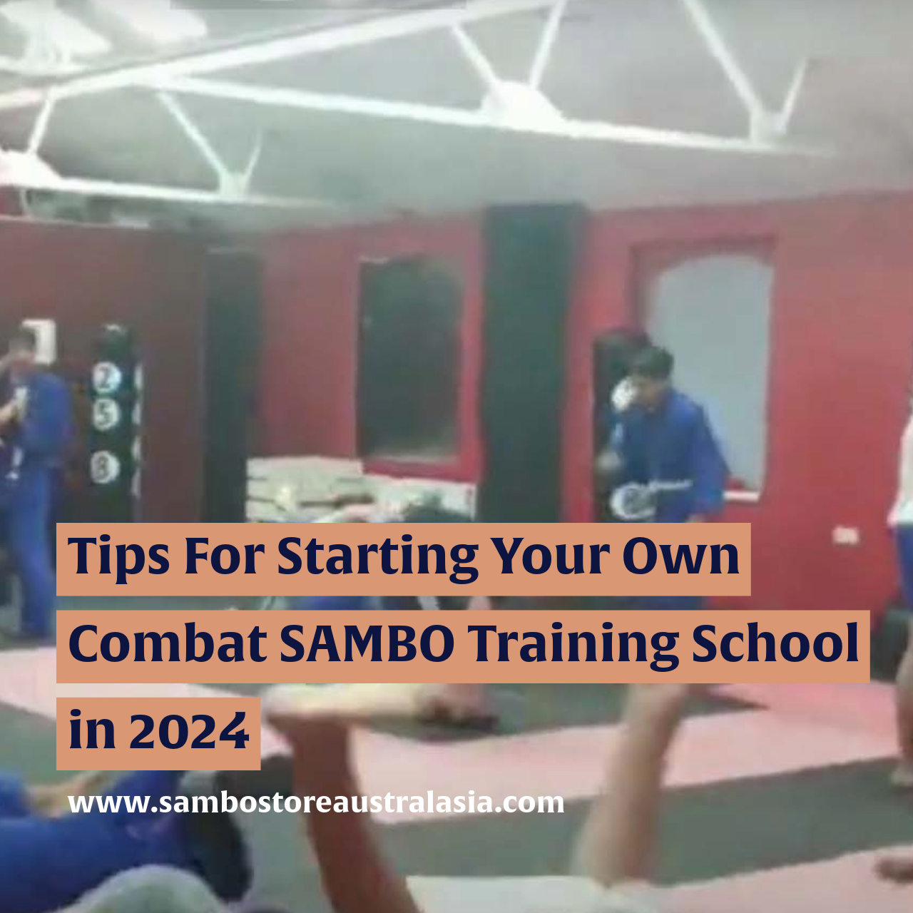 Tips For Starting Your Own Combat SAMBO Training School in 2024