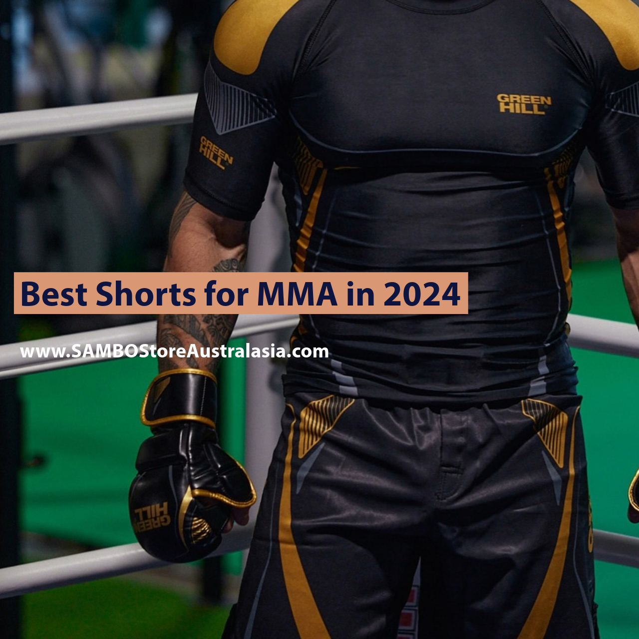 Best Shorts for MMA in 2024