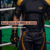 Best Shorts for MMA in 2024