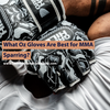 What Oz Gloves Are Best for MMA Sparring?