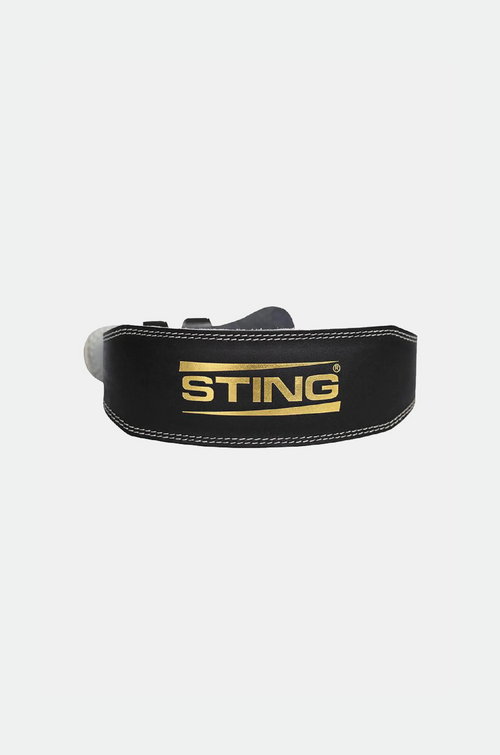 4 Inch Eco Leather Lifting Belt - Sambo Store Australasia