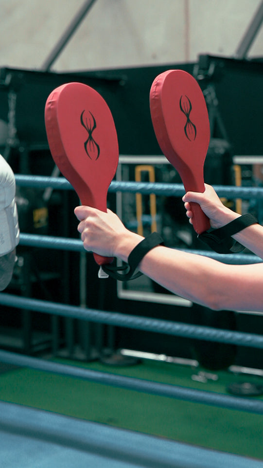 Sting Armaplus Boxing Paddles | Training Hand Target Pads for Boxing Kickboxing MMA