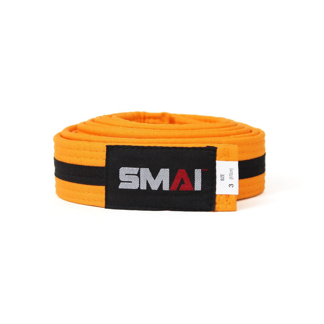 Martial Arts Belt - Black Stripe