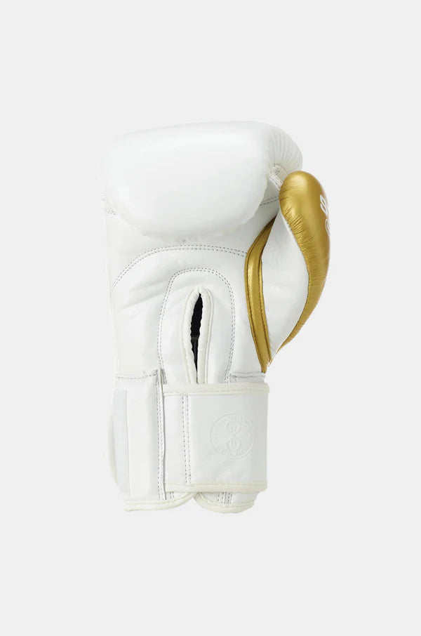Sting Evolution Boxing Glove