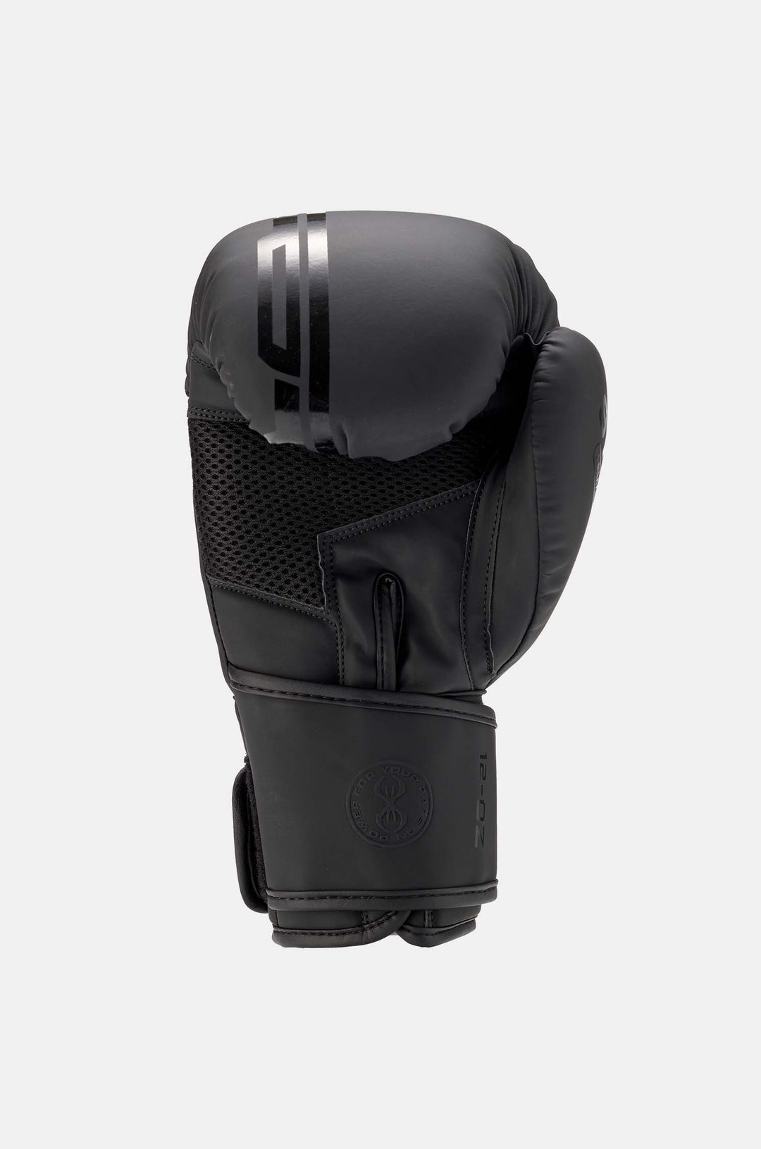 Sting Armaplus Boxing Gloves | Velcro