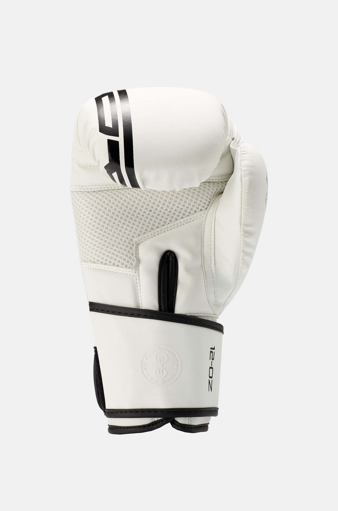 Sting Armaplus Boxing Gloves | Velcro