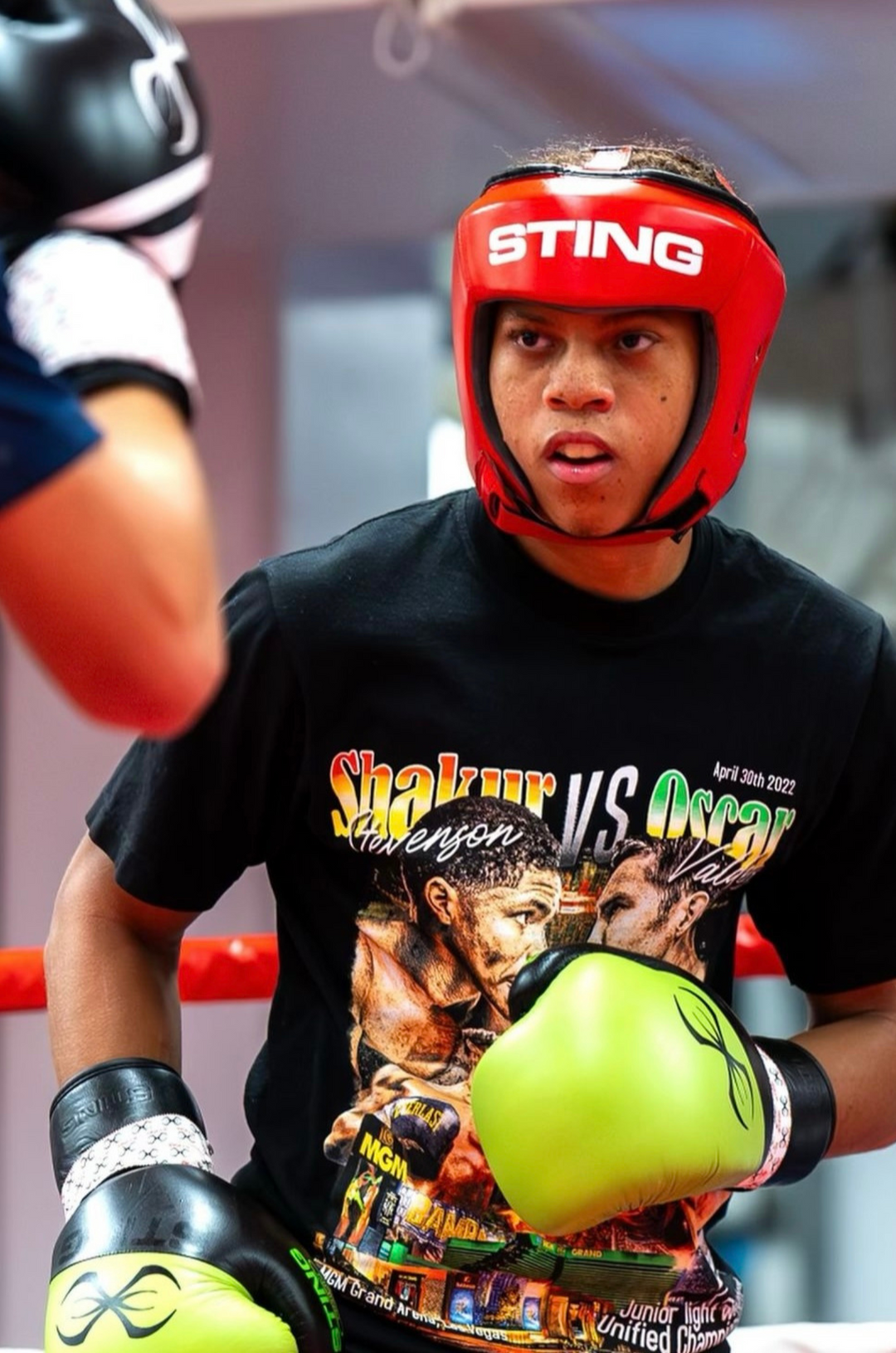 Sting Orion Boxing Gloves | Premium Leather & Hi Flow Core Protection