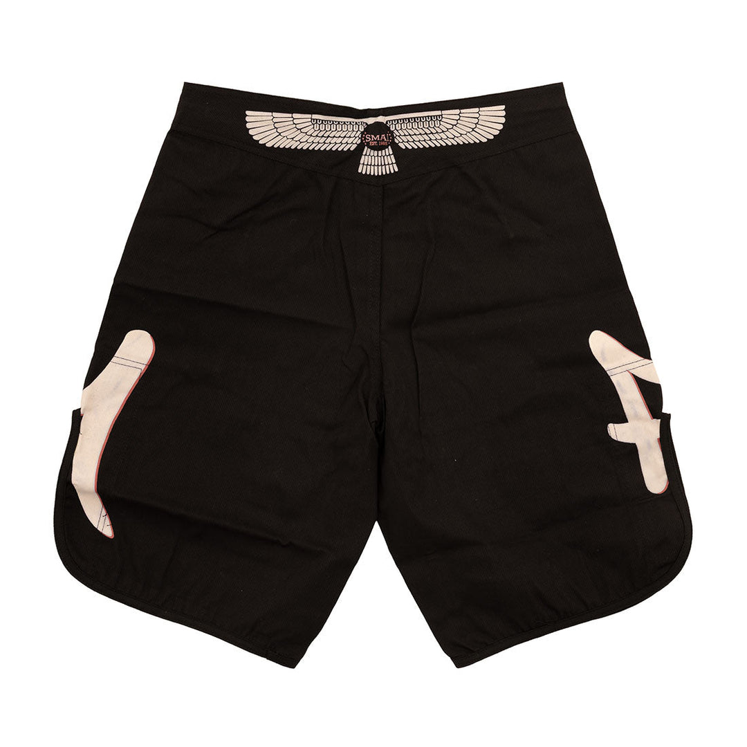 MMA Shorts - Punishment