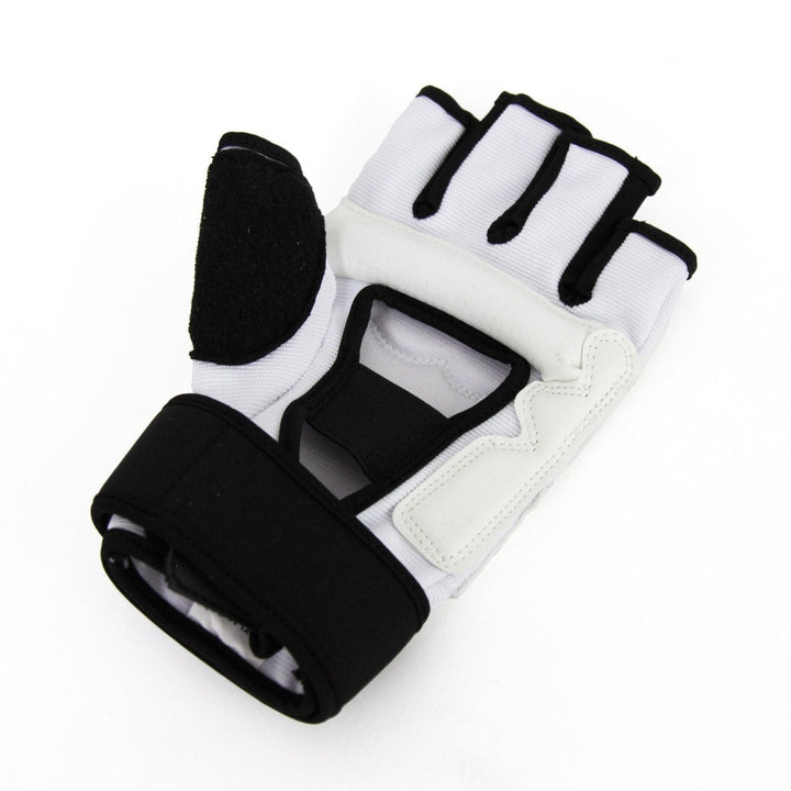 Taekwondo Hand Guard