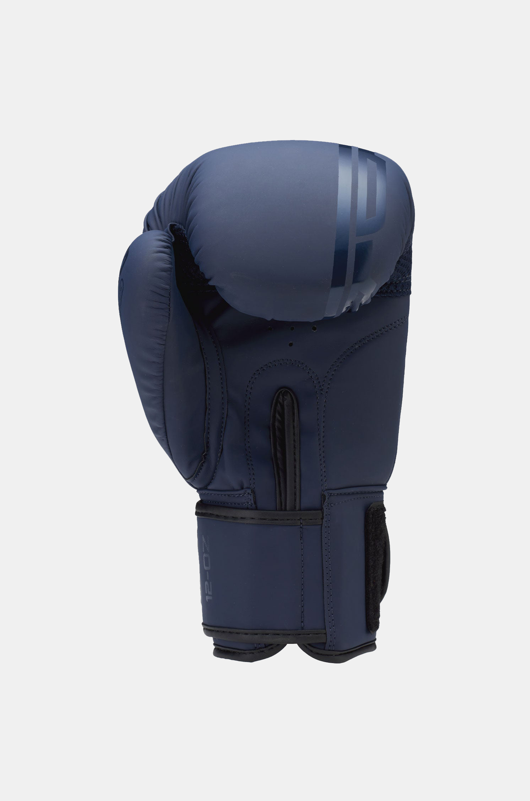 Sting Armaplus Boxing Gloves | Velcro