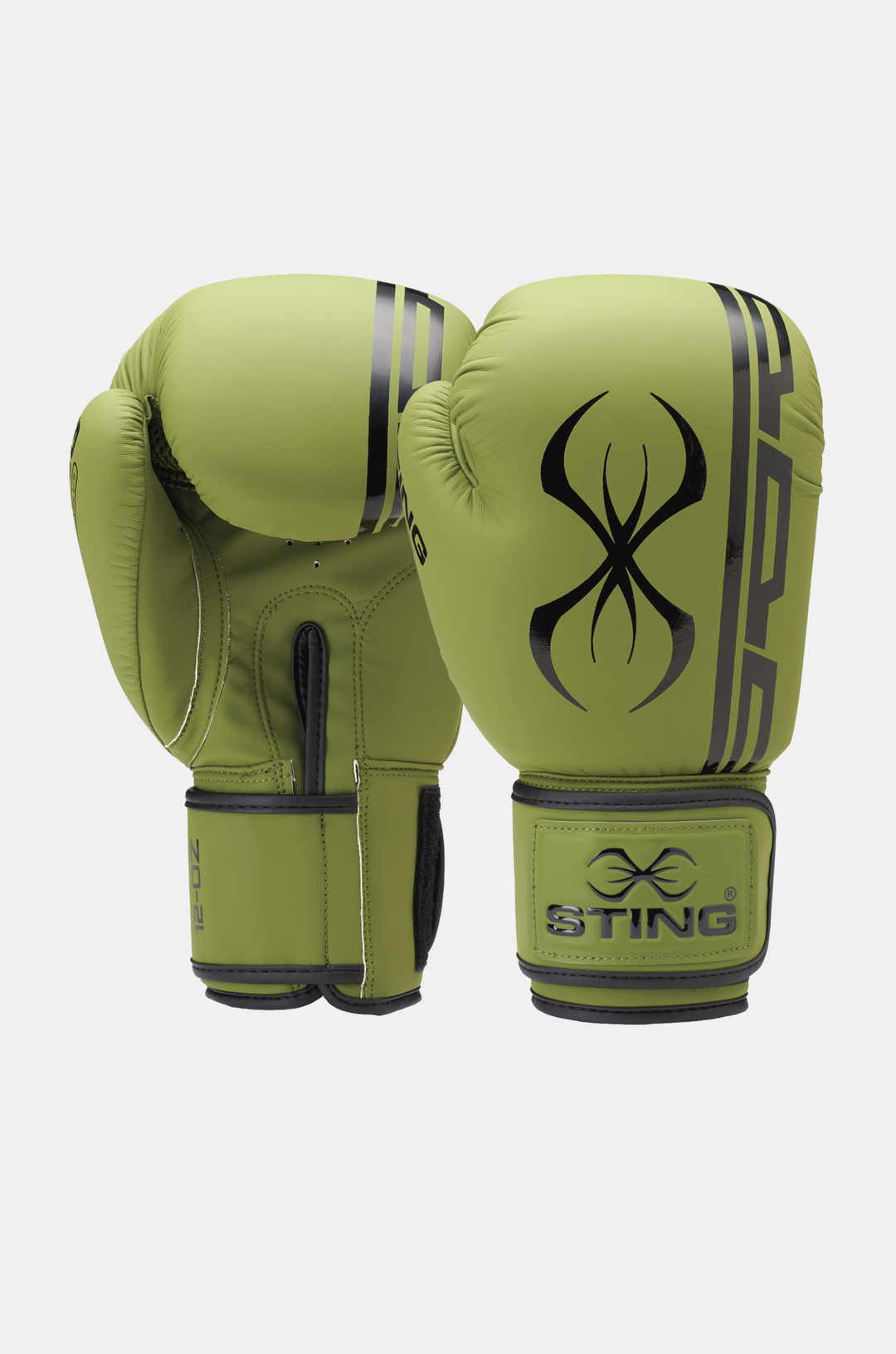 Sting Armaplus Boxing Gloves | Velcro