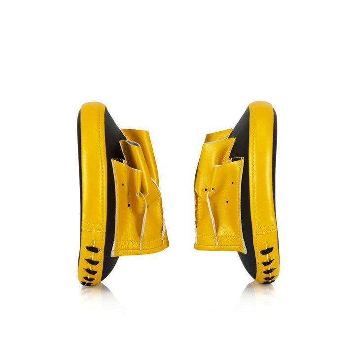 Fairtex Micro Focus Mitts - Sambo Store Australasia